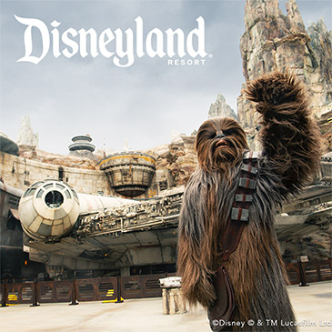Disneyland Hotel - Facebook - Star Wars Chewbacca
