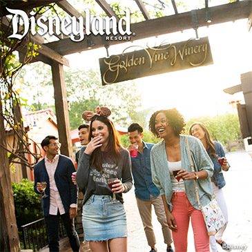 Disneyland Hotel - Facebook - Winery at Disneyland