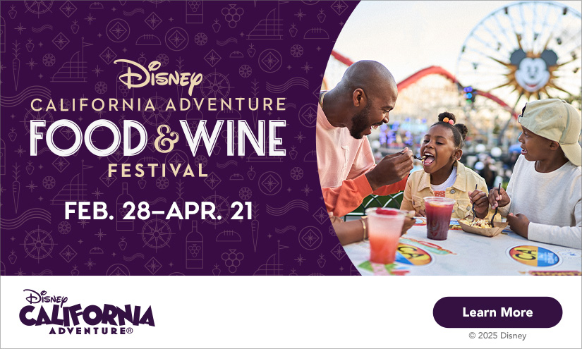 Food and wine banner