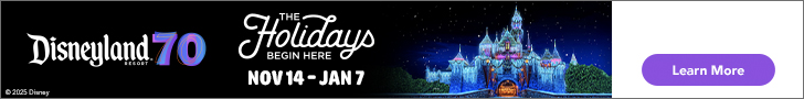 Disneyland Holiday ticket banner